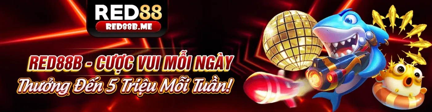 Tin tức mới nhất từ 88king App 2026